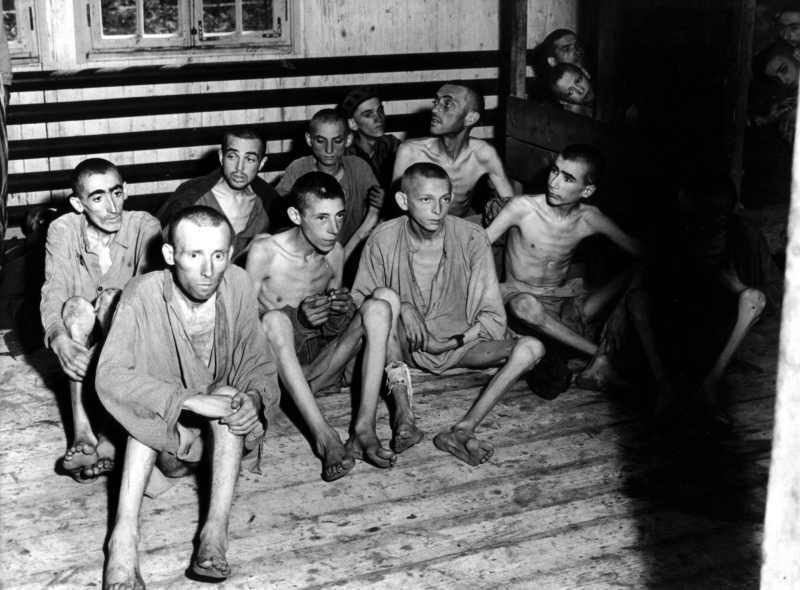 Разведчик Лев Маневич: карьера и последние годы в концлагере