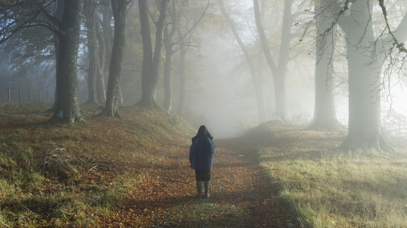 Ребёнка, потерявшегося в амурской тайге, нашёл родной дядя