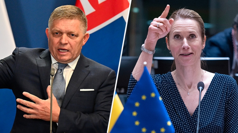 &laquo;Речь идёт об исторической правде&raquo;: почему Фицо раскритиковал запрет Каллас на поездки в Москву 9 мая