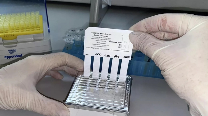 Россия передаст тест-системы для выявления оспы&nbsp;обезьян четырём странам Африки