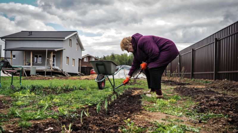 Россиянам напомнили о режиме тишины на дачах