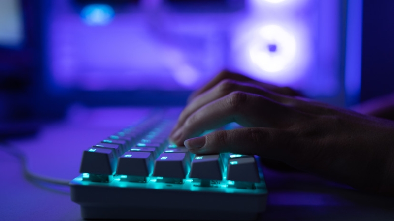 Россиянам объяснили, что делать в случае утечки персональных данных