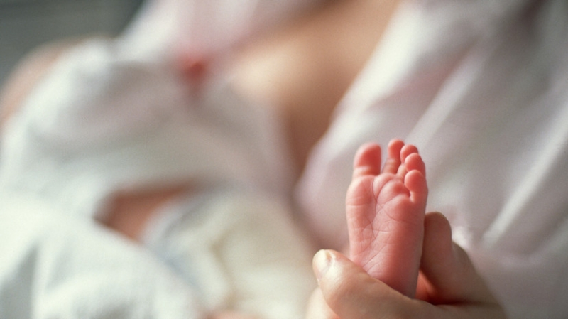 Сенатор Гибатдинов призвал списывать ипотечный долг при рождении детей