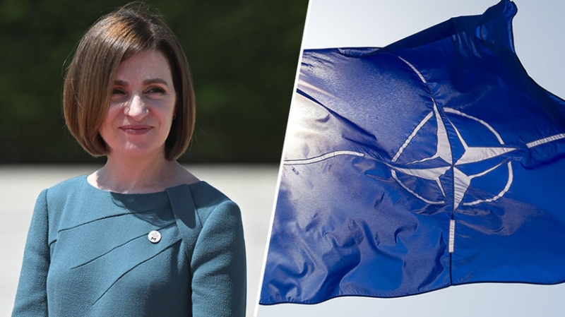 Североатлантический интенсив: в Молдавии сообщили о троекратном увеличении числа совместных проектов с НАТО