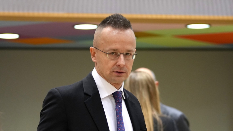 Сийярто: упрощение получения виз для россиян не угрожает безопасности Шенгена