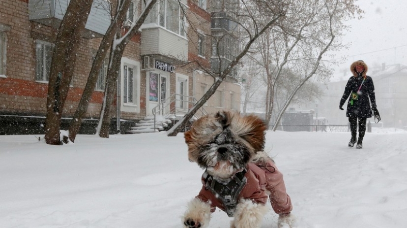 Синоптик Позднякова &mdash; о снегопаде в Пермском крае: это крайне редкое явление