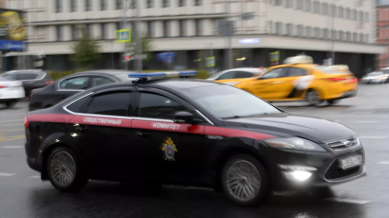 СК: по факту нападения на Милашину и Немова в Чечне возбуждено уголовное дело