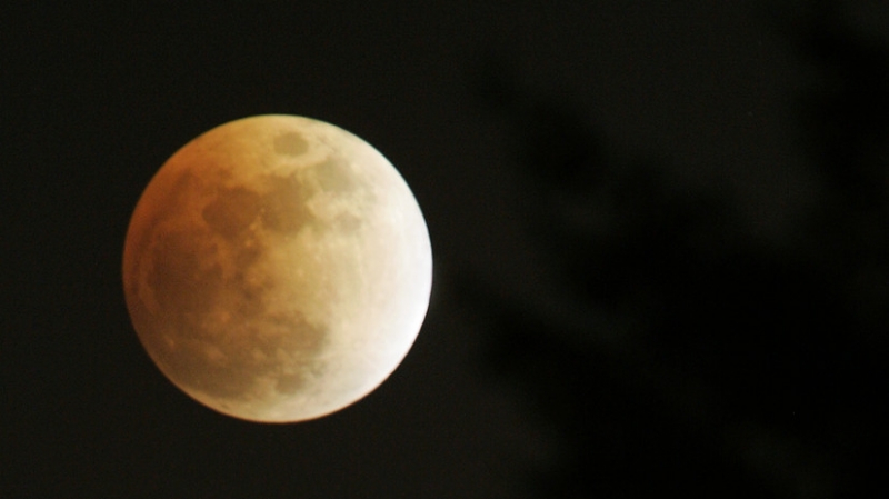 Сроки запуска миссии России на Луну определят весной 2022 года