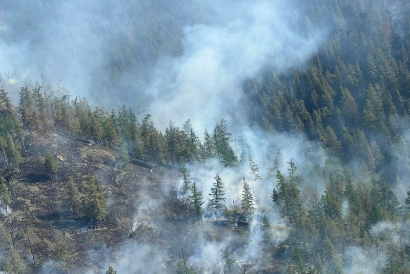 &laquo;Такие задачи нам по плечу&raquo;: пилота из Башкирии наградили за спасение коллег из лесного пожара