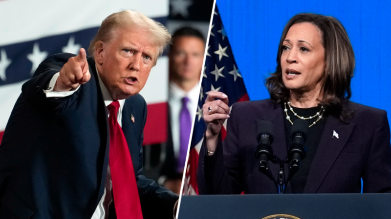 &laquo;Удобный спарринг-партнёр&raquo;: каковы шансы Камалы Харрис победить Дональда Трампа на предвыборных дебатах