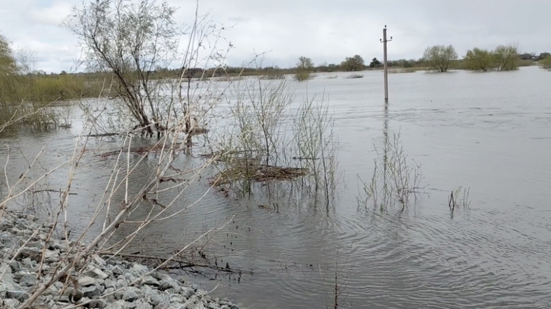 Уровень воды в Ишиме Тюменской области поднялся на 50 см за сутки