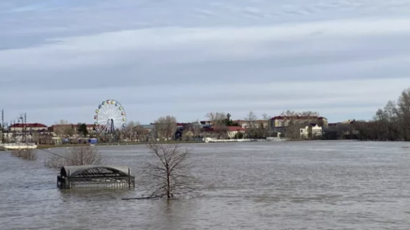 Уровень воды в реке Ишим в тюменском Абатском поднялся до 1215 см
