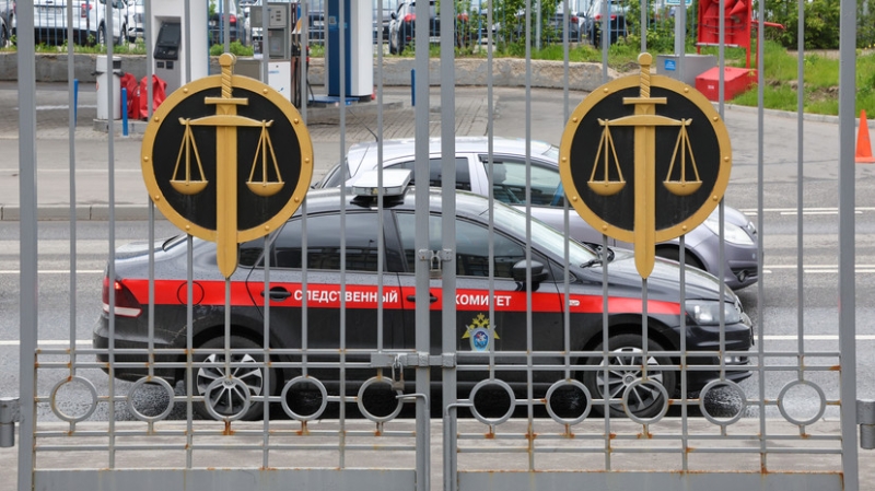 В Ленобласти арестовали обвиняемого в поджоге склада с гумпомощью для СВО