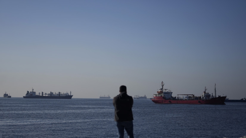 В МИД Турции выступили за продление зерновой сделки