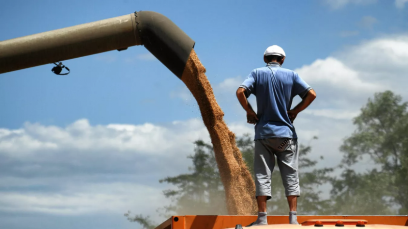 В Минсельхозе заявили, что Россия может полностью заместить поставки украинского зерна