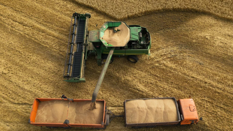 В ООН приветствовали возвращение России к зерновой сделке