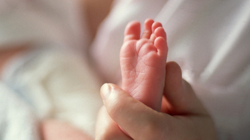 В Петербурге родился мальчик по имени Владимир Путин