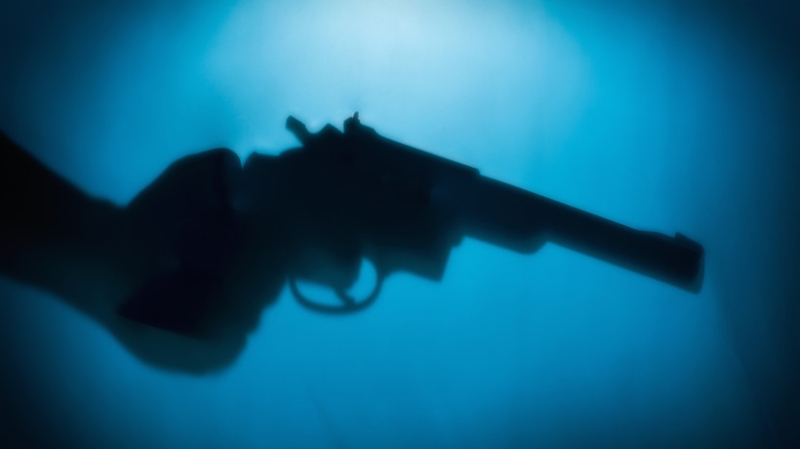 В Подмосковье пьяный вооружённый мужчина залез в дом в посёлке Шервуд