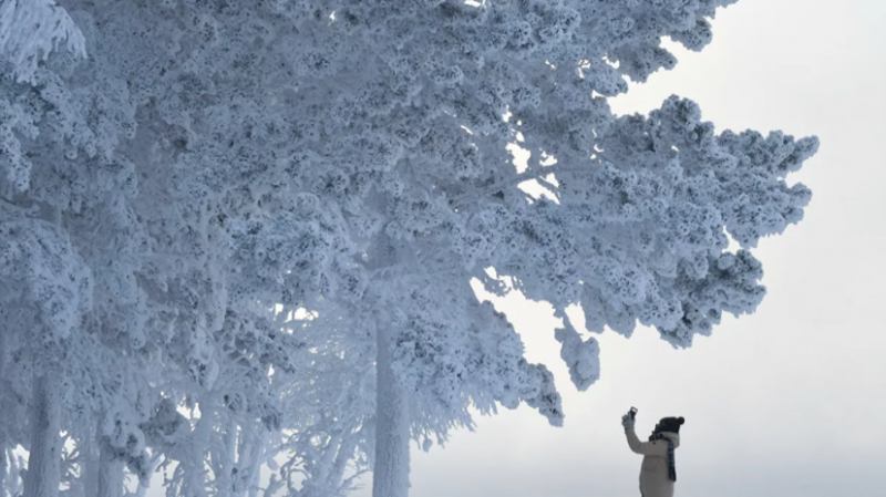 В Приамурье сохраняются морозы до -43 &deg;C