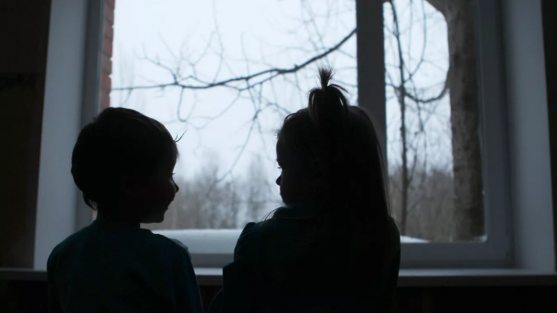 В России предложили наделить детей-сирот правом наследования имущества опекуна