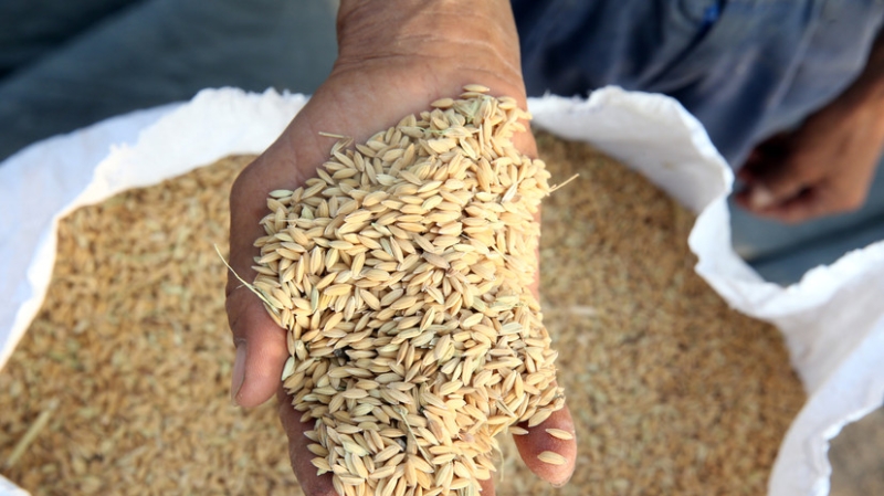 В Румынии начнут проверять все агропродовольственные товары с Украины