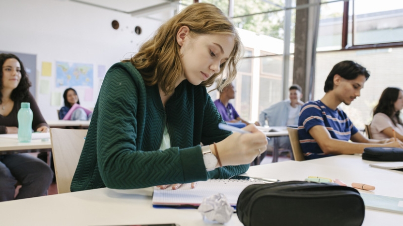 В Союзе пенсионеров поддержали идею привлечения пенсионеров к наставничеству в школах