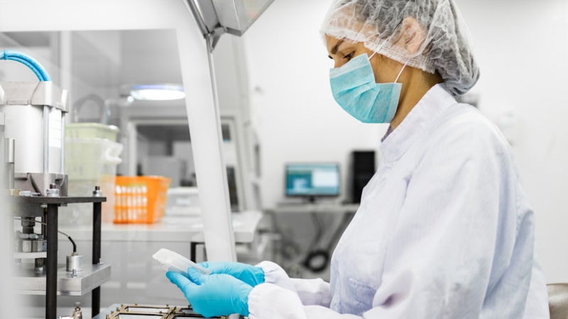 Вирусолог Аграновский: вирус Западного Нила является флавивирусом и передаётся комарами