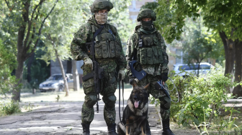 Военный Миронов: в Курской области обнаружены запрещённые конвенциями мины ВСУ