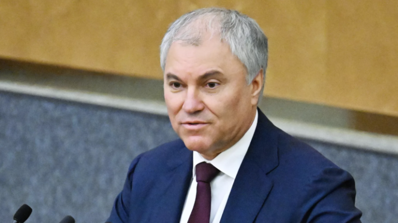 Володин предложил наказание за содействие организациям, в которых нет России