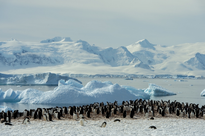 &laquo;Восстановление произойдёт через несколько десятков лет&raquo;: российский климатолог &mdash; о состоянии озонового слоя атмосферы