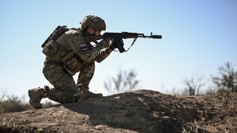 ВС России освободили населённые пункты Петровское и Алексеевка в ДНР