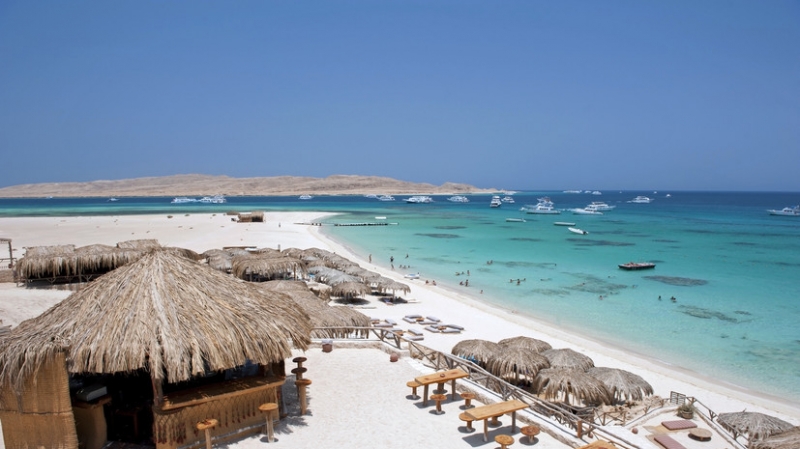 Второй погибшей при нападении акулы в Хургаде оказалась гражданка Румынии