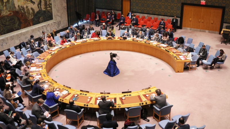 &laquo;Вывело на чистую воду&raquo;: Небензя об отклонении в СБ ООН гуманитарной резолюции России по Украине