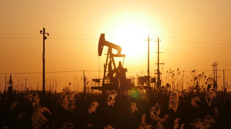 &laquo;Запрет на поставки&raquo;: Новак рассказал об ответных мерах России на введённый Западом потолок цен на нефть