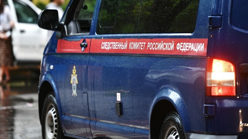 Зарабатывавшую на детском порно банду задержали на Урале