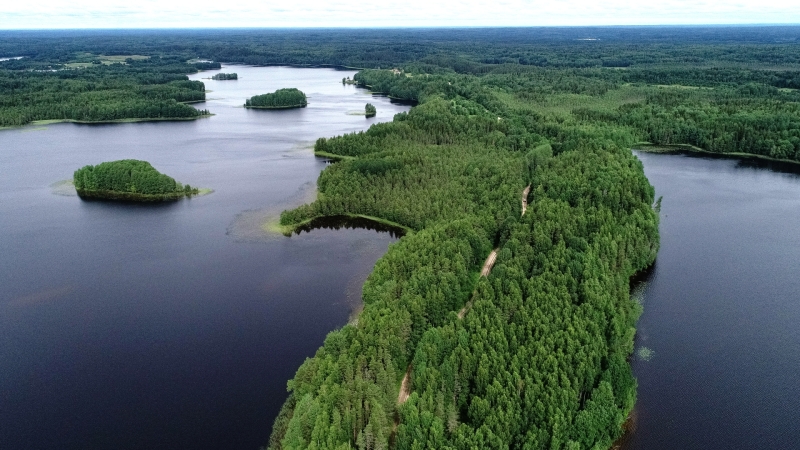 Защита Севера: ФСБ опубликовала документы о Коношской операции советских спецслужб