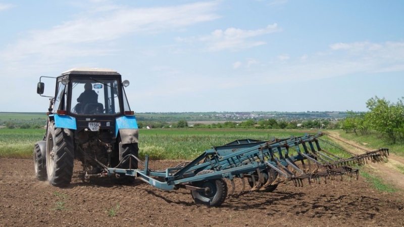 Зерно везут через Крым: как херсонские фермеры торгуют с Россией